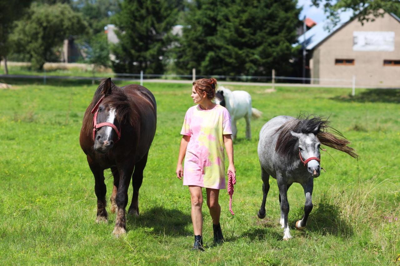 Farm stay Harasimowka